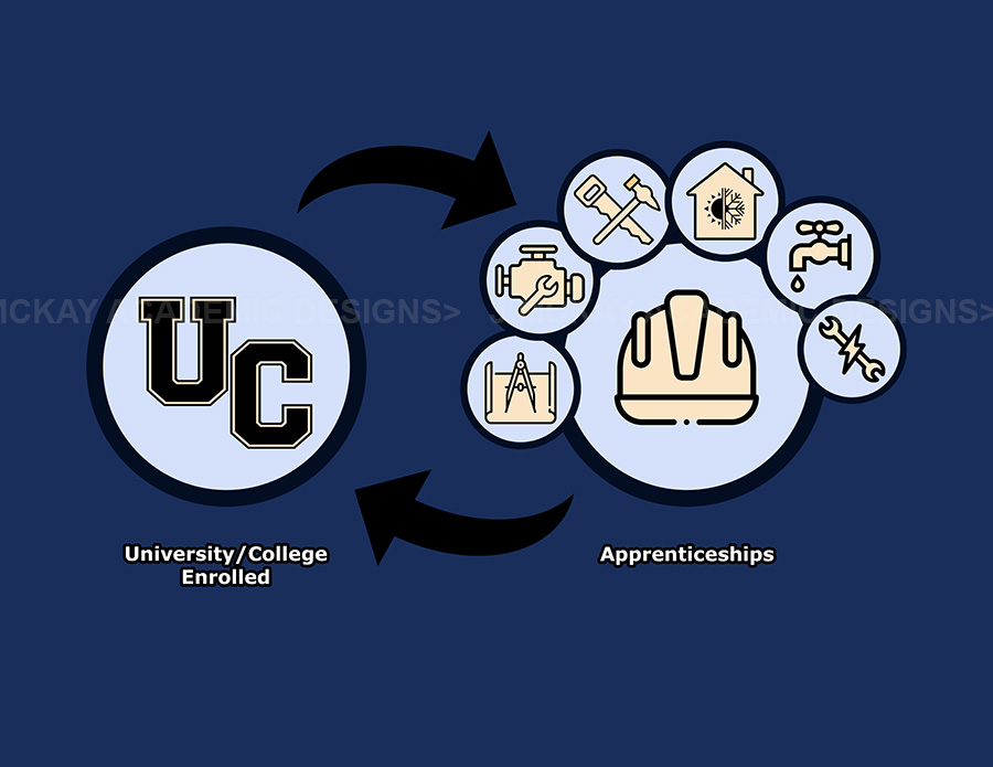 Visualization: Apprenticeships transfer